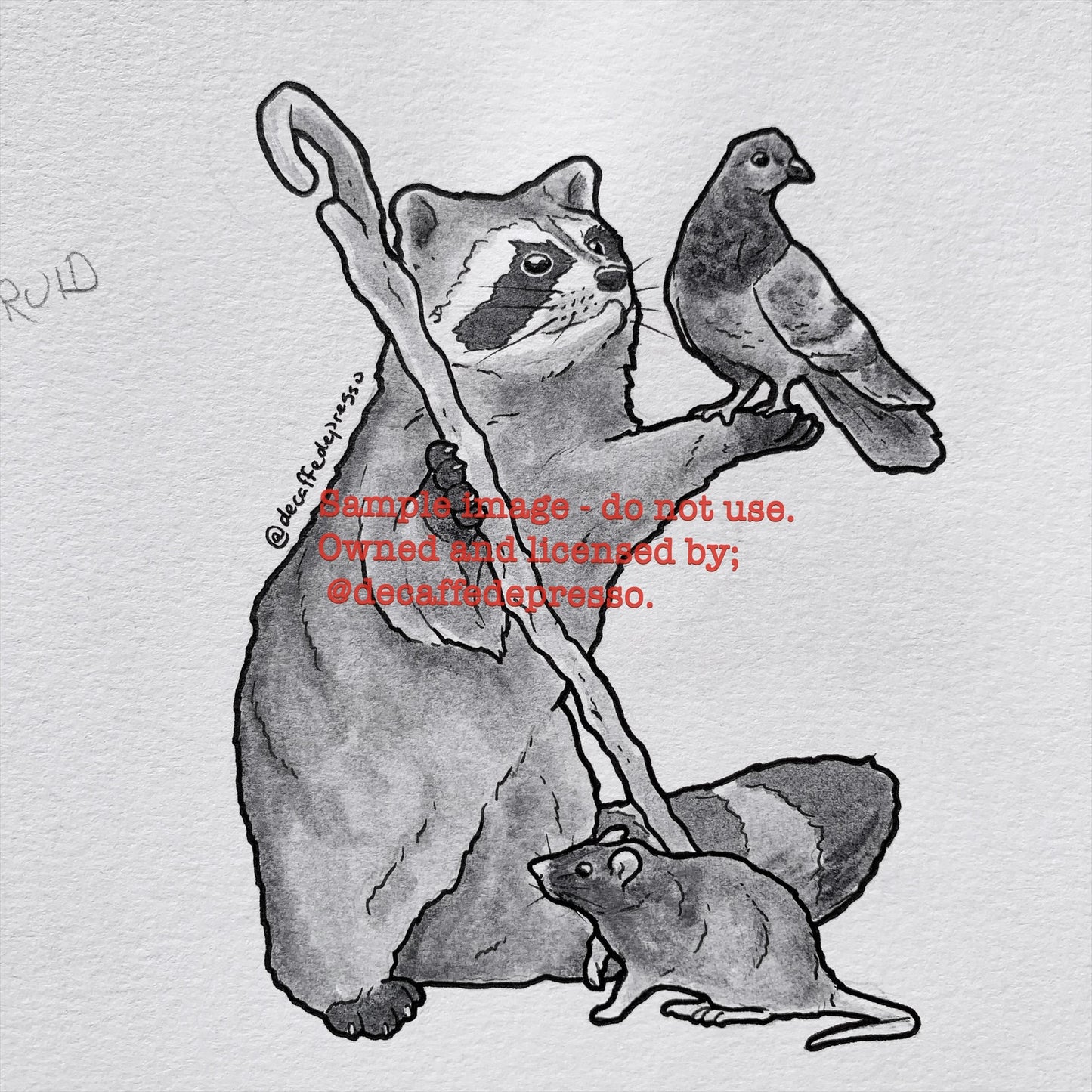 Druid raccoon (DnD)