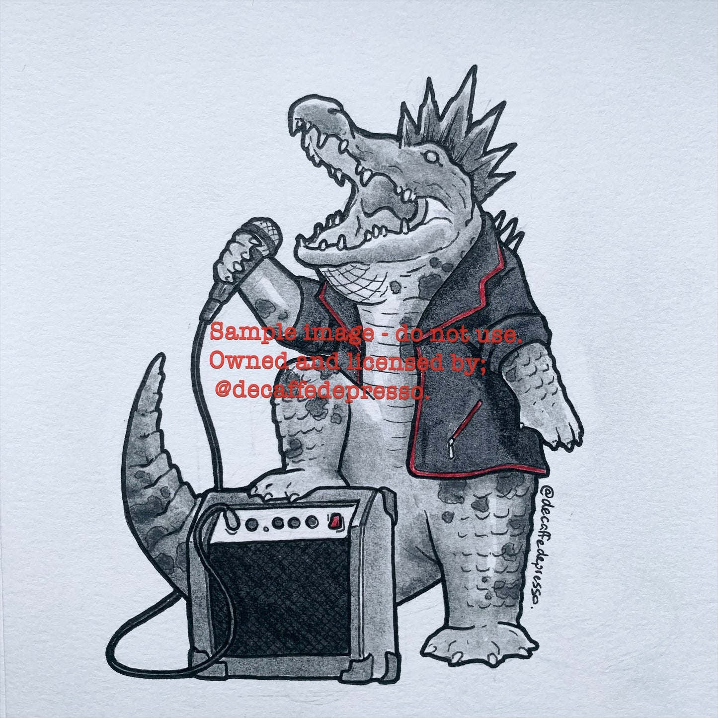 Punk Croc