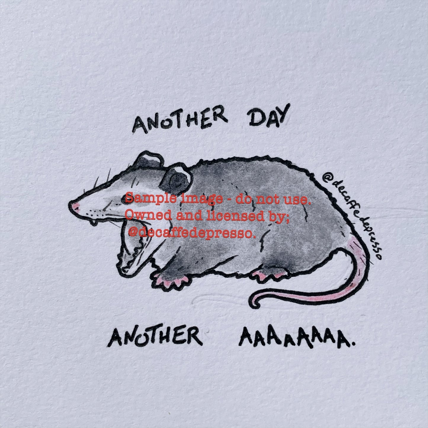 Another day opossum