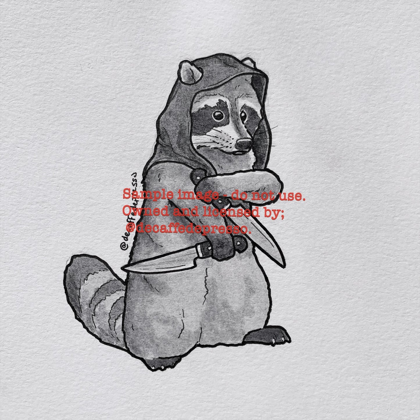 Rogue raccoon (DnD)