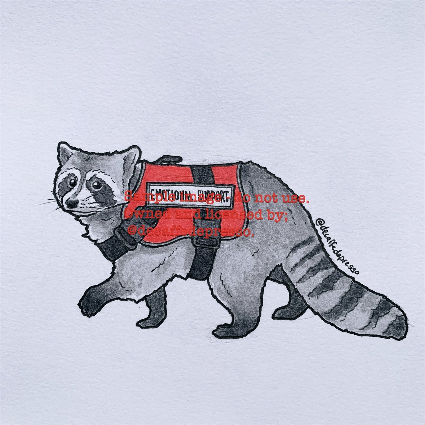 Support raccoon
