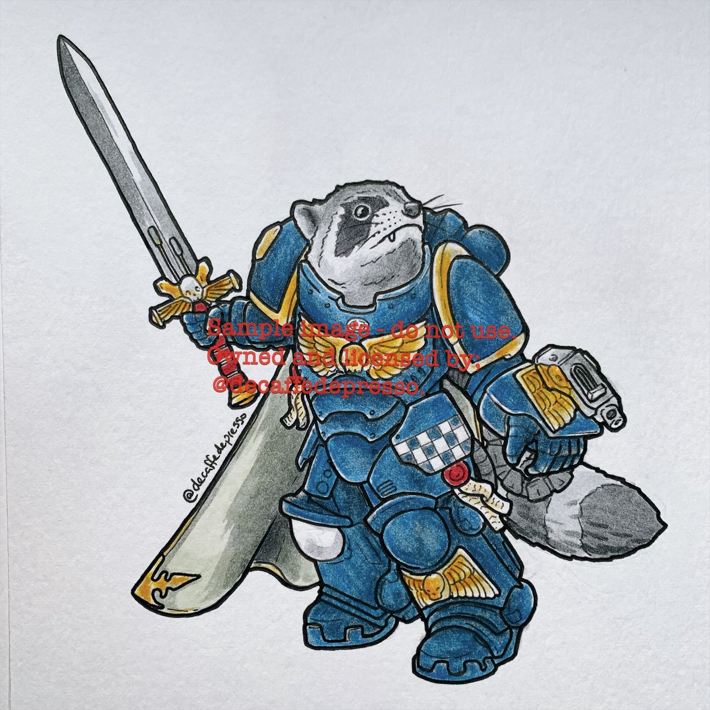 Space marine raccoon