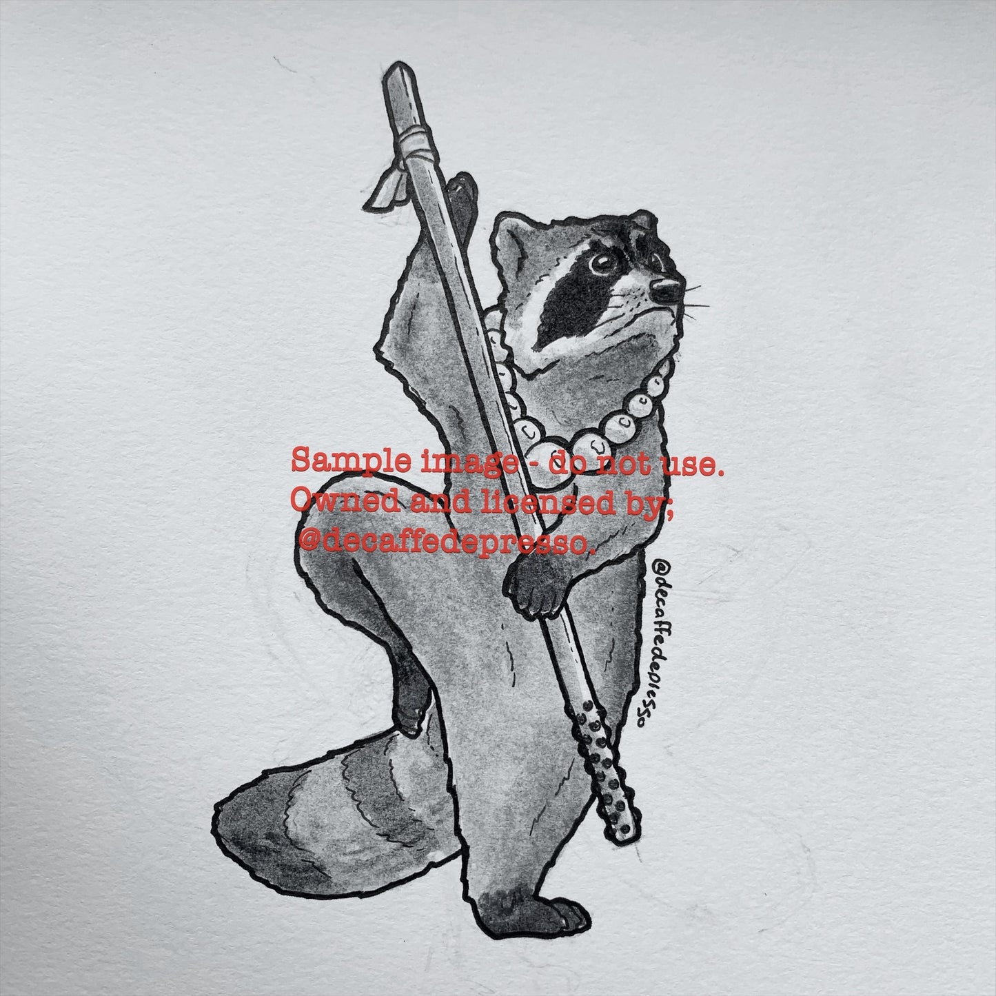 Monk raccoon (DnD)