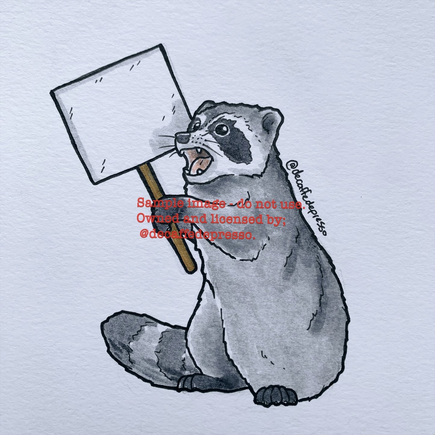 Pride raccoon (sign)