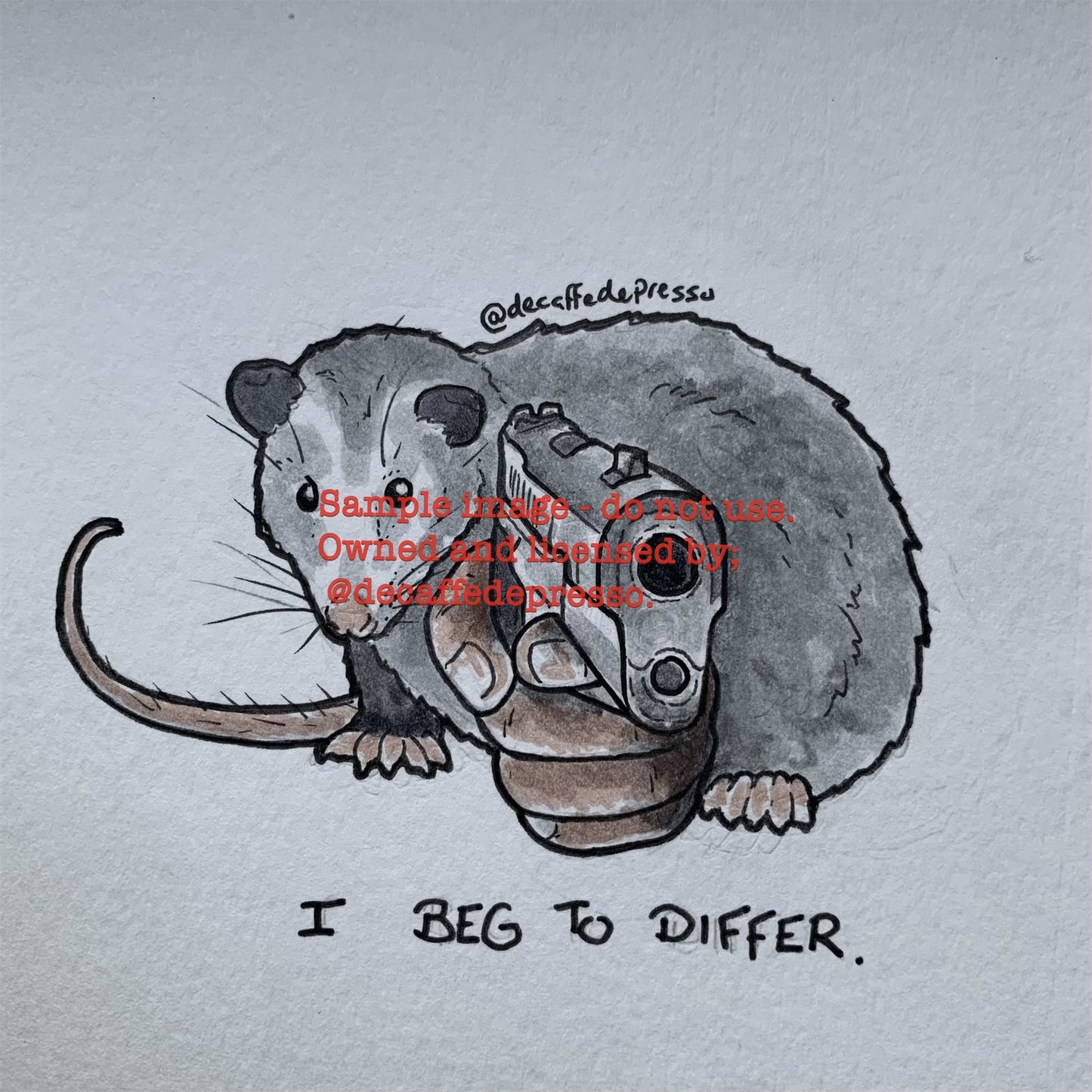 Differ opossum