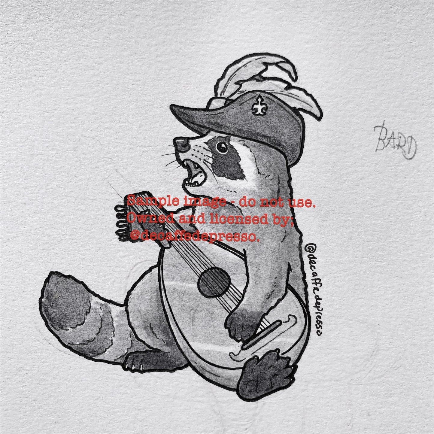 Bard raccoon (DnD)