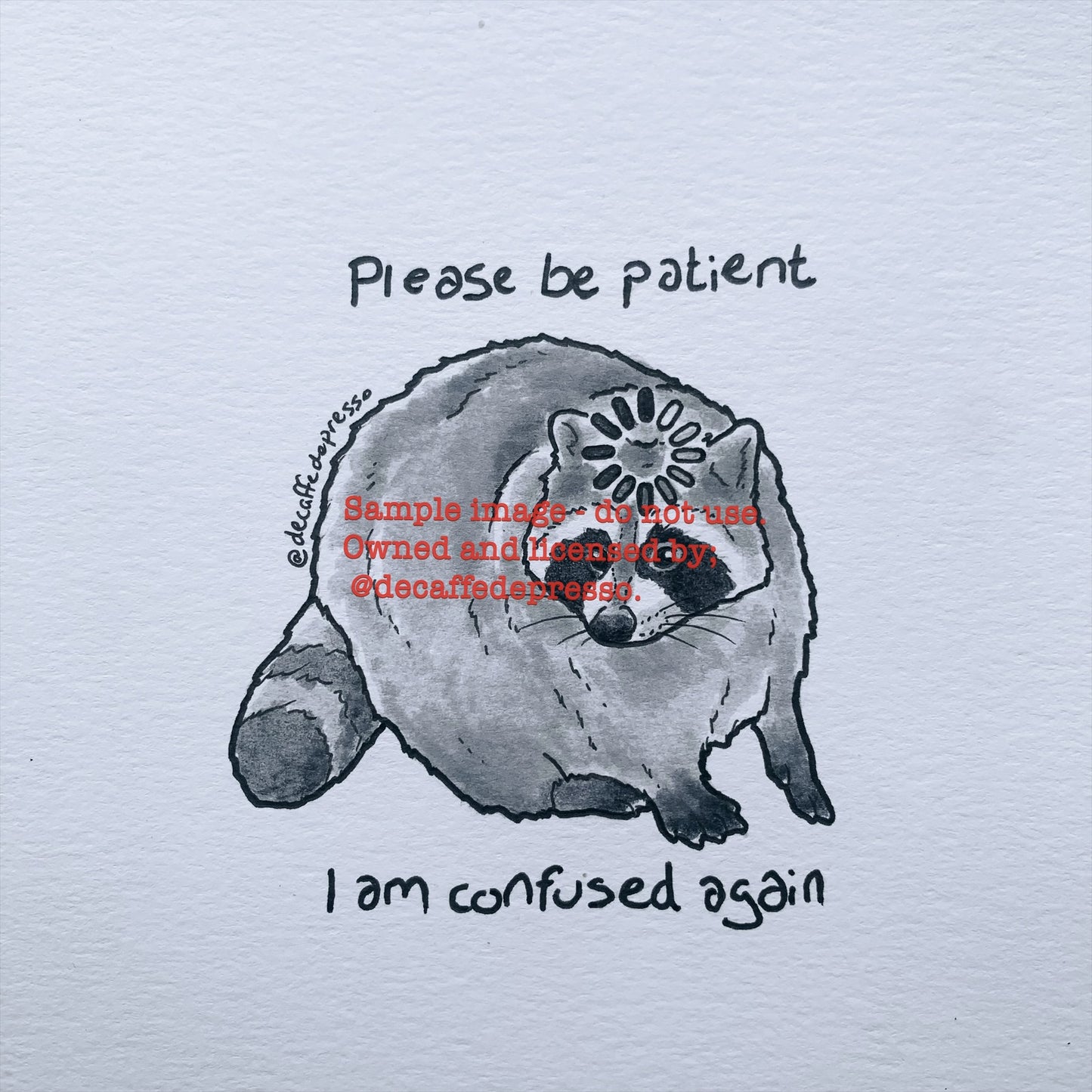 Confused raccoon