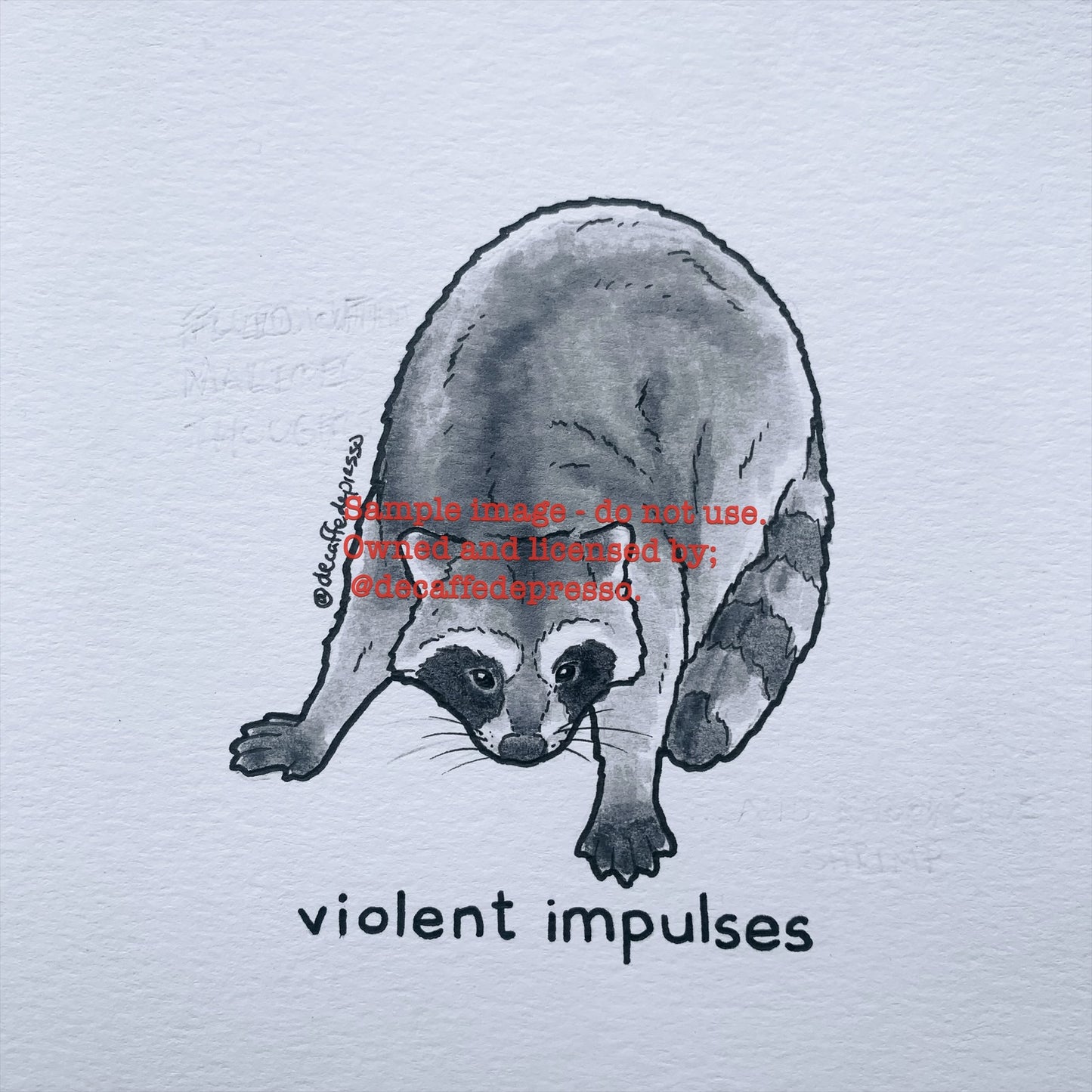 Violent raccoon