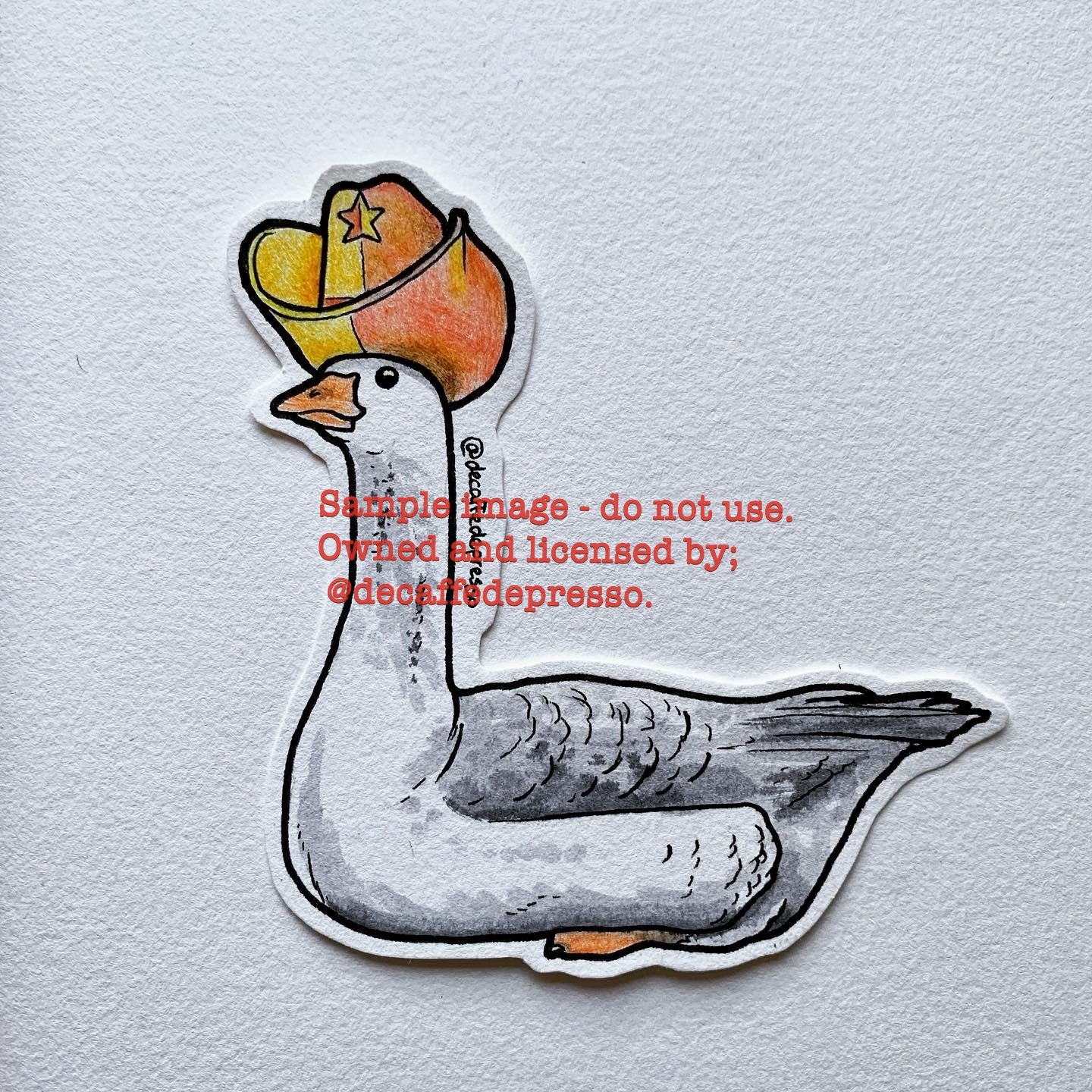 Silly goose cowboy hat