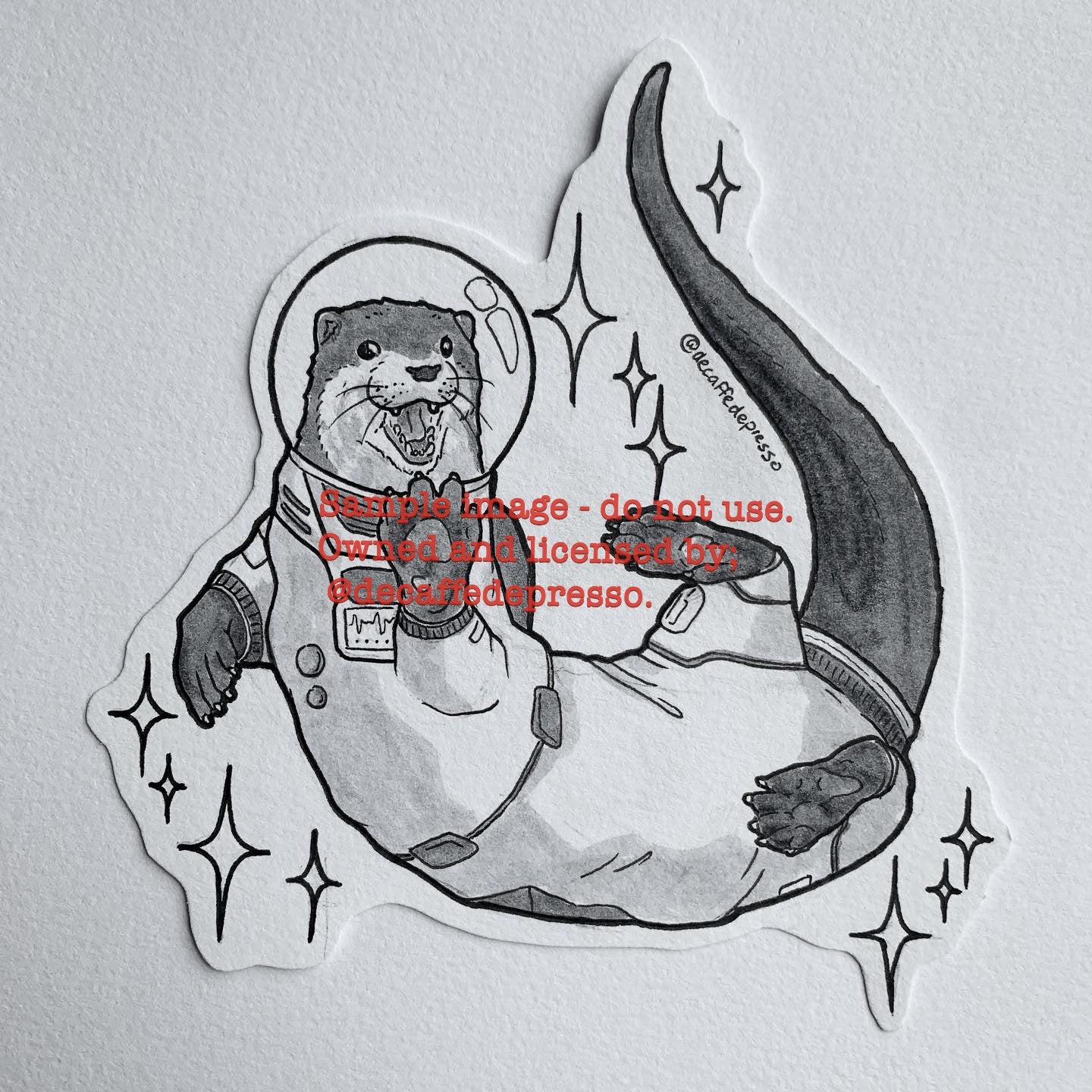 Otter space