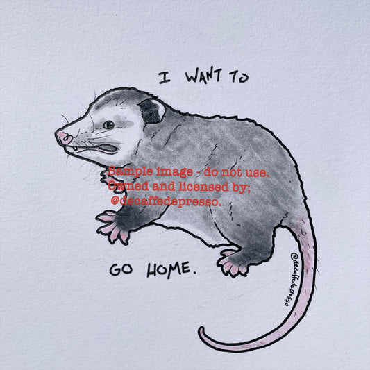 Home opossum