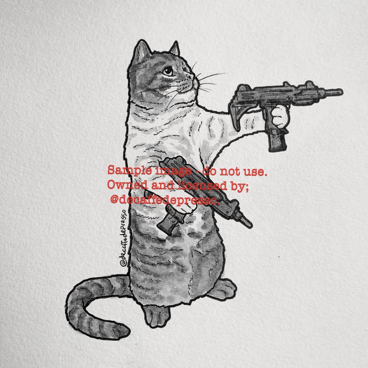 Cats w gats 4