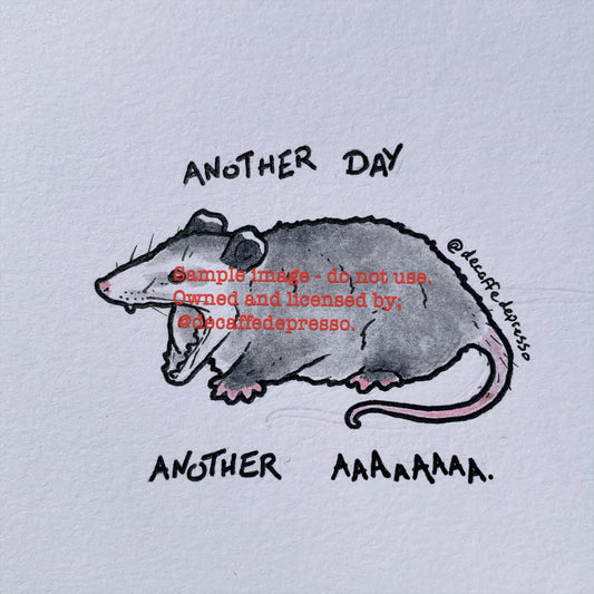 Another day opossum