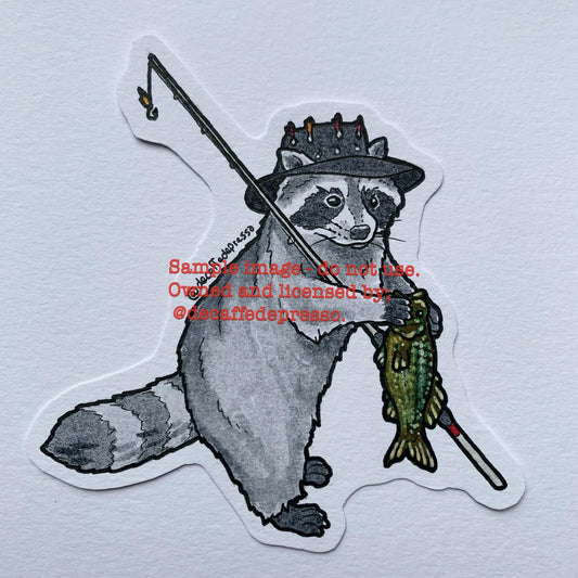 Fishing raccoon