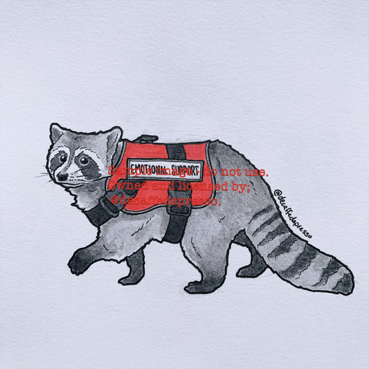 Support raccoon