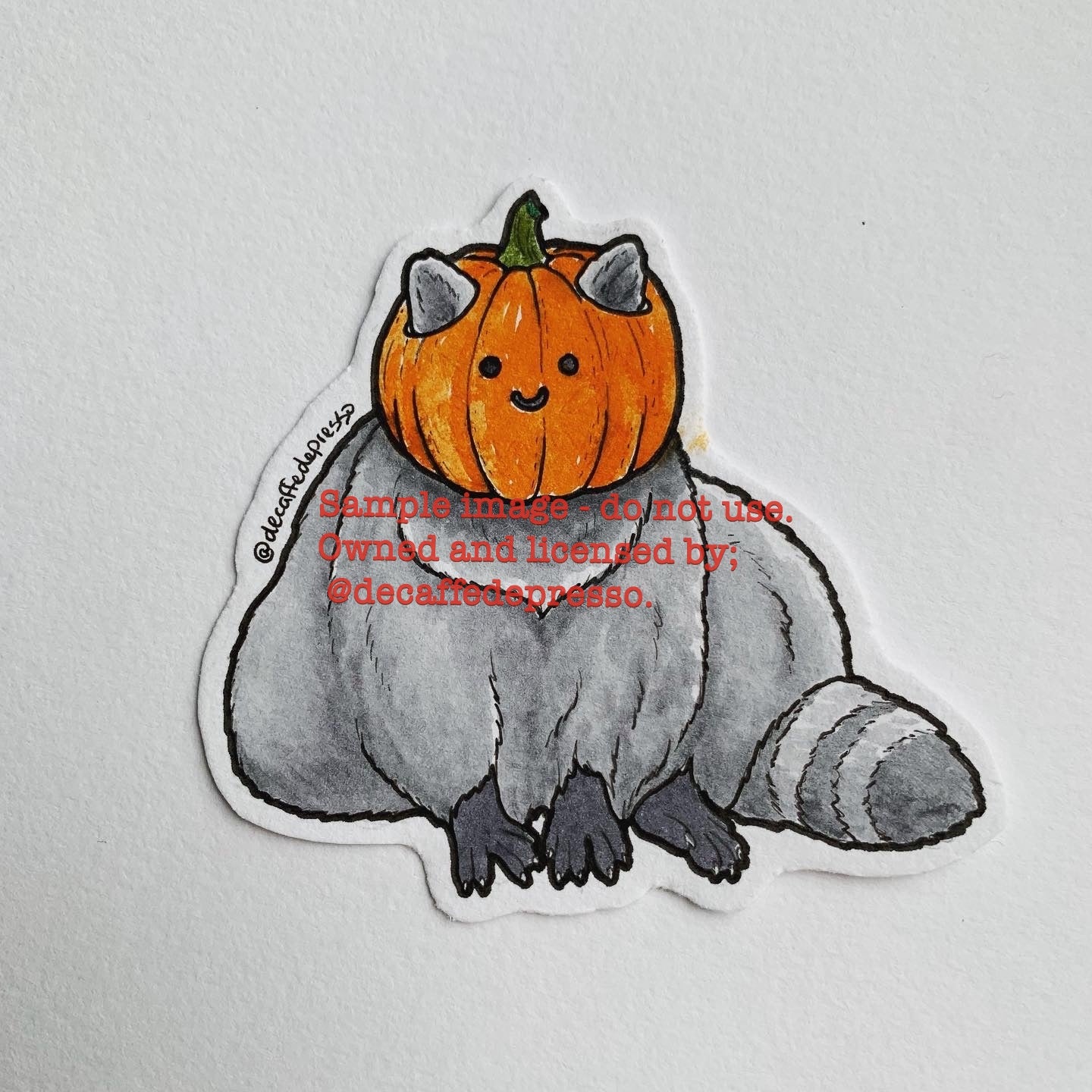 Raccoon pumpkin (Halloween)