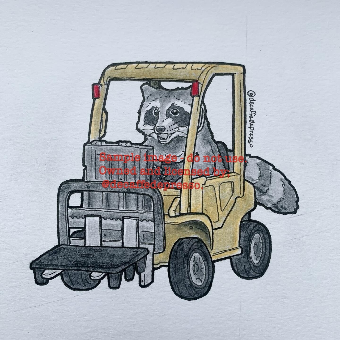 Forklift raccoon