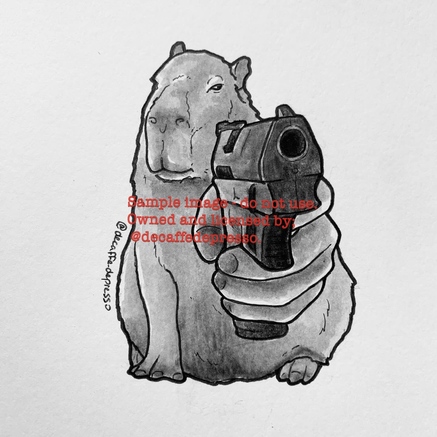 CAPybara (gun)