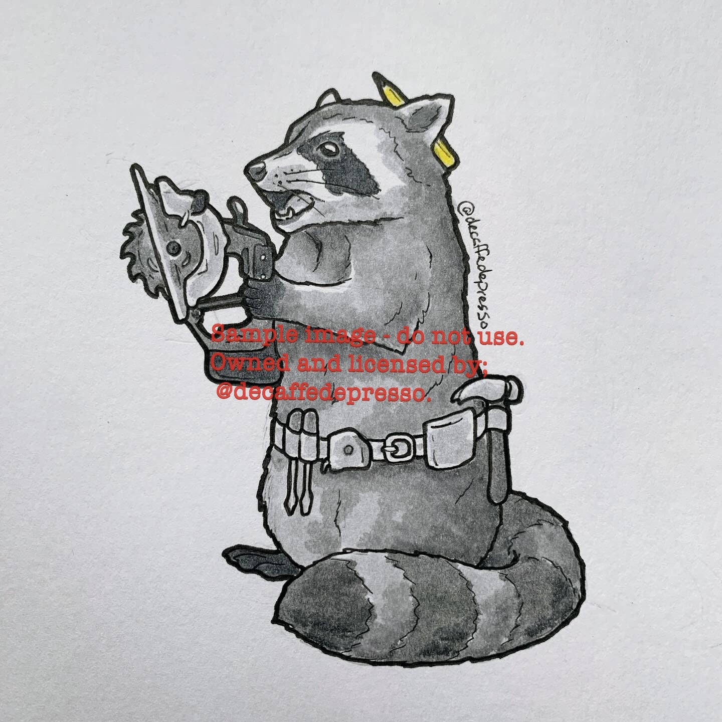 Carpenter raccoon