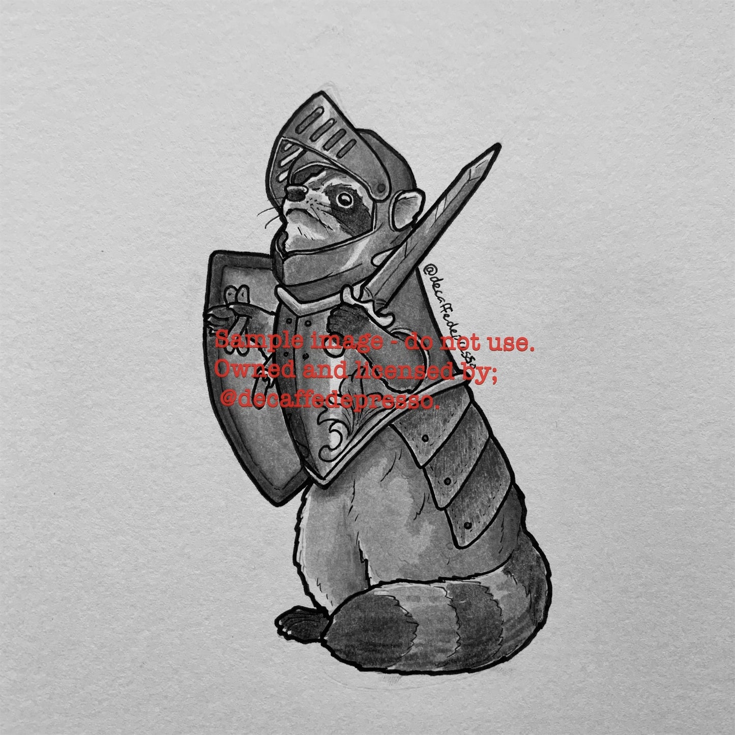 Paladin raccoon (DnD)