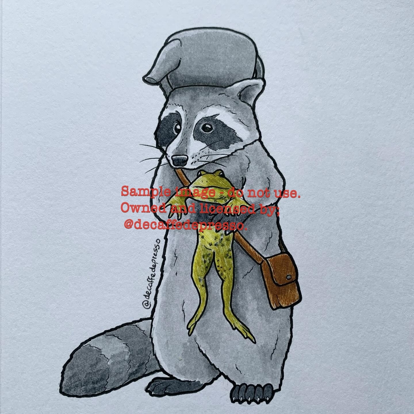 Gregory raccoon (otgw)