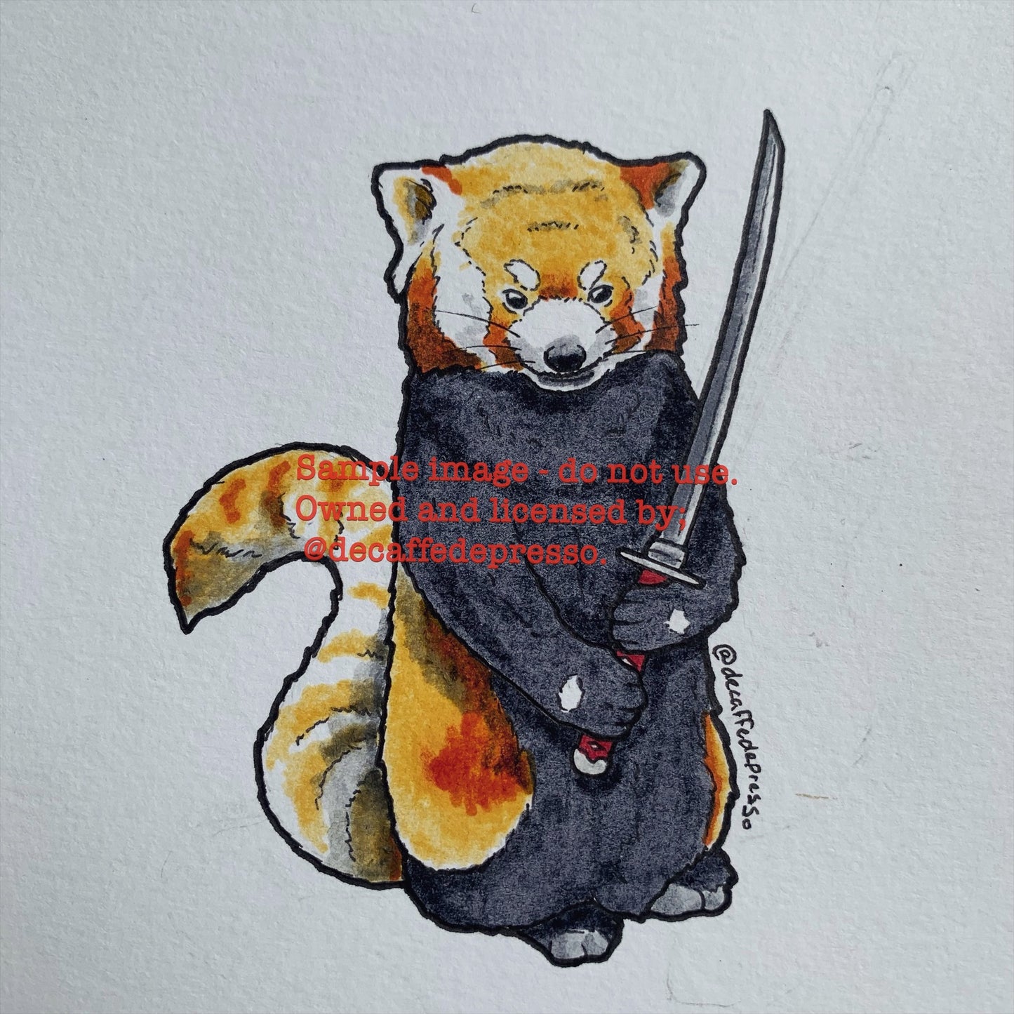 Red panda samurai