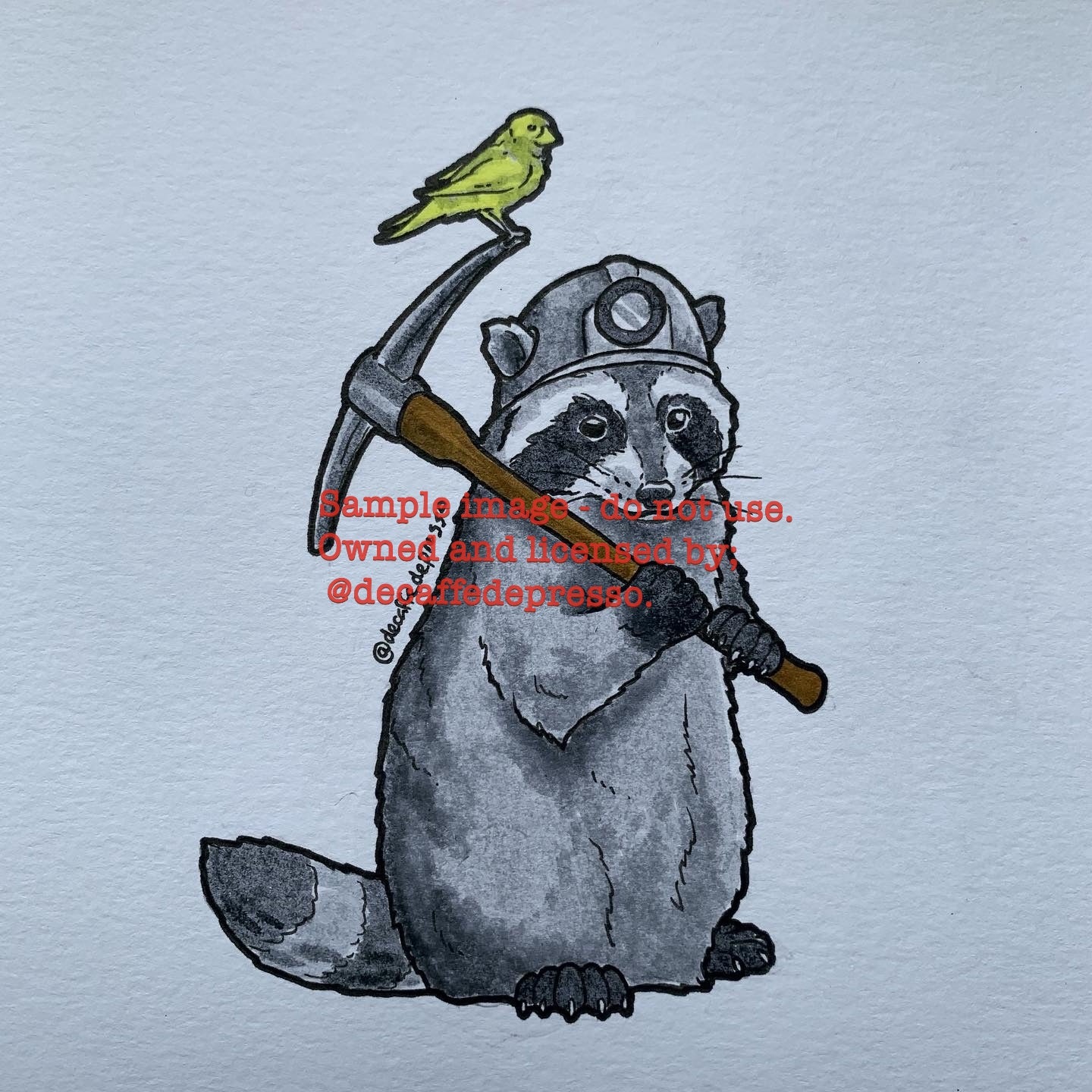 Miner raccoon