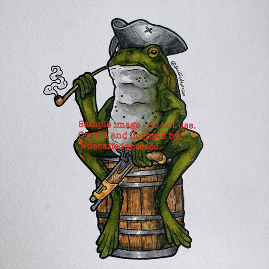 Pirate frog