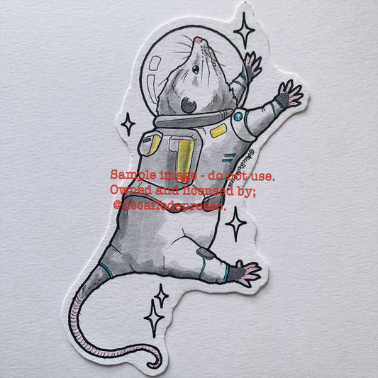 Space opossum