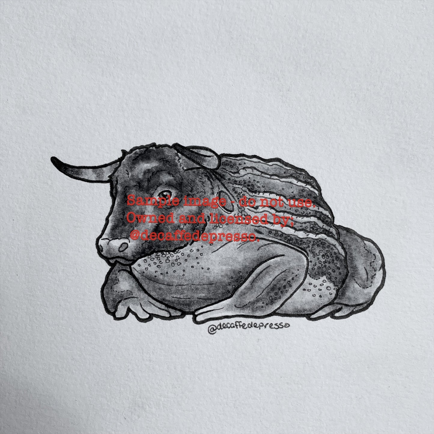 Bull frog
