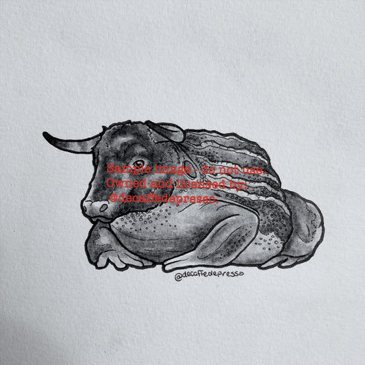 Bull frog