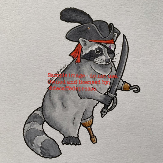 Pirate raccoon