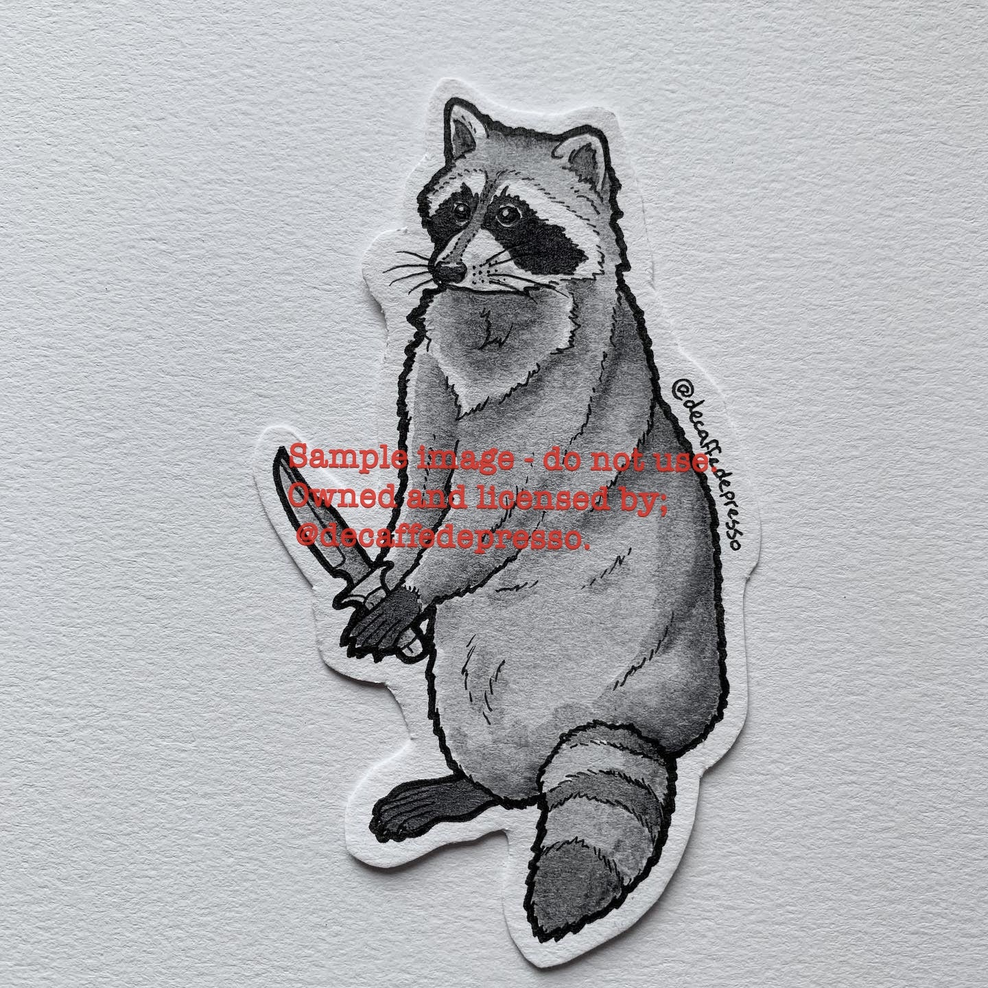 Knife raccoon 2