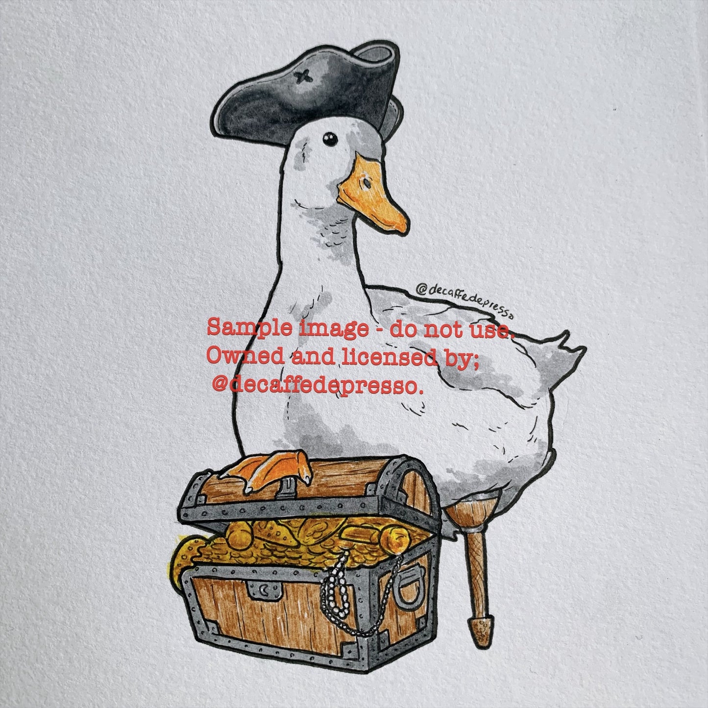 Pirate duck