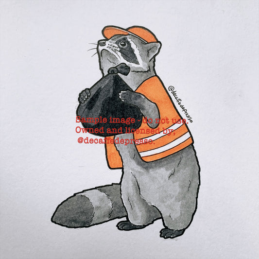 Trash raccoon