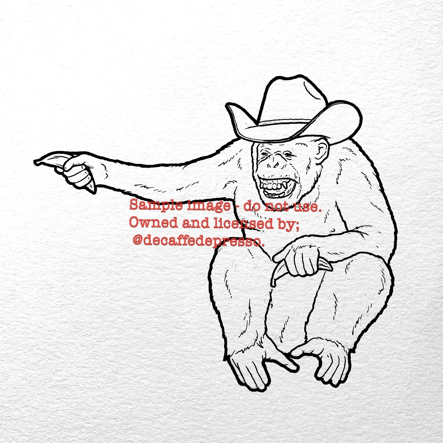 Cowboy chimp 2