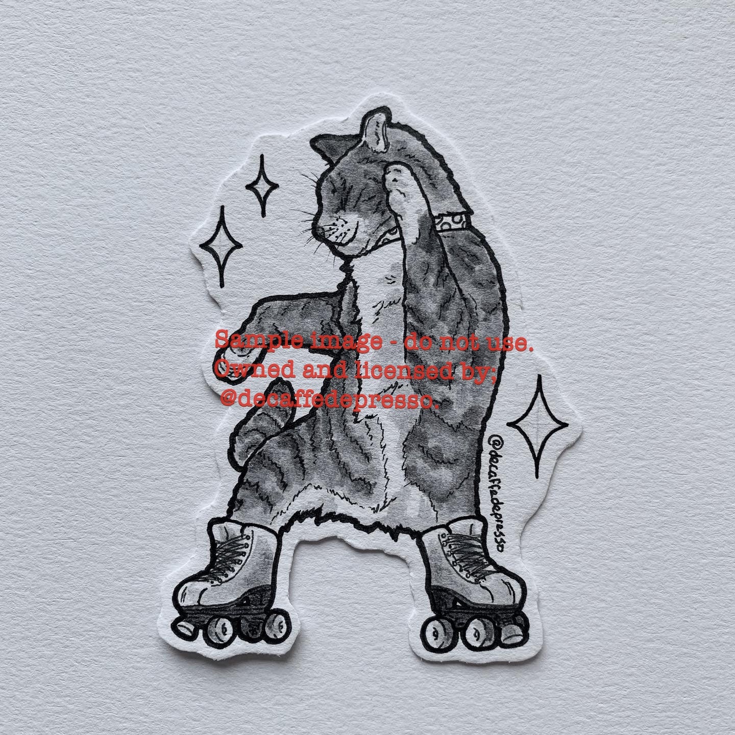 Roller Disco Cat 2