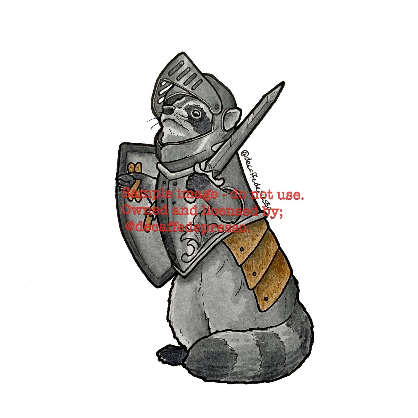 Knight raccoon