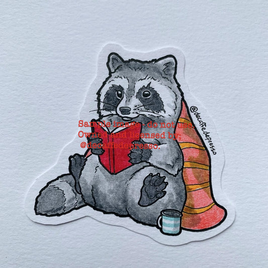 Reading raccoon