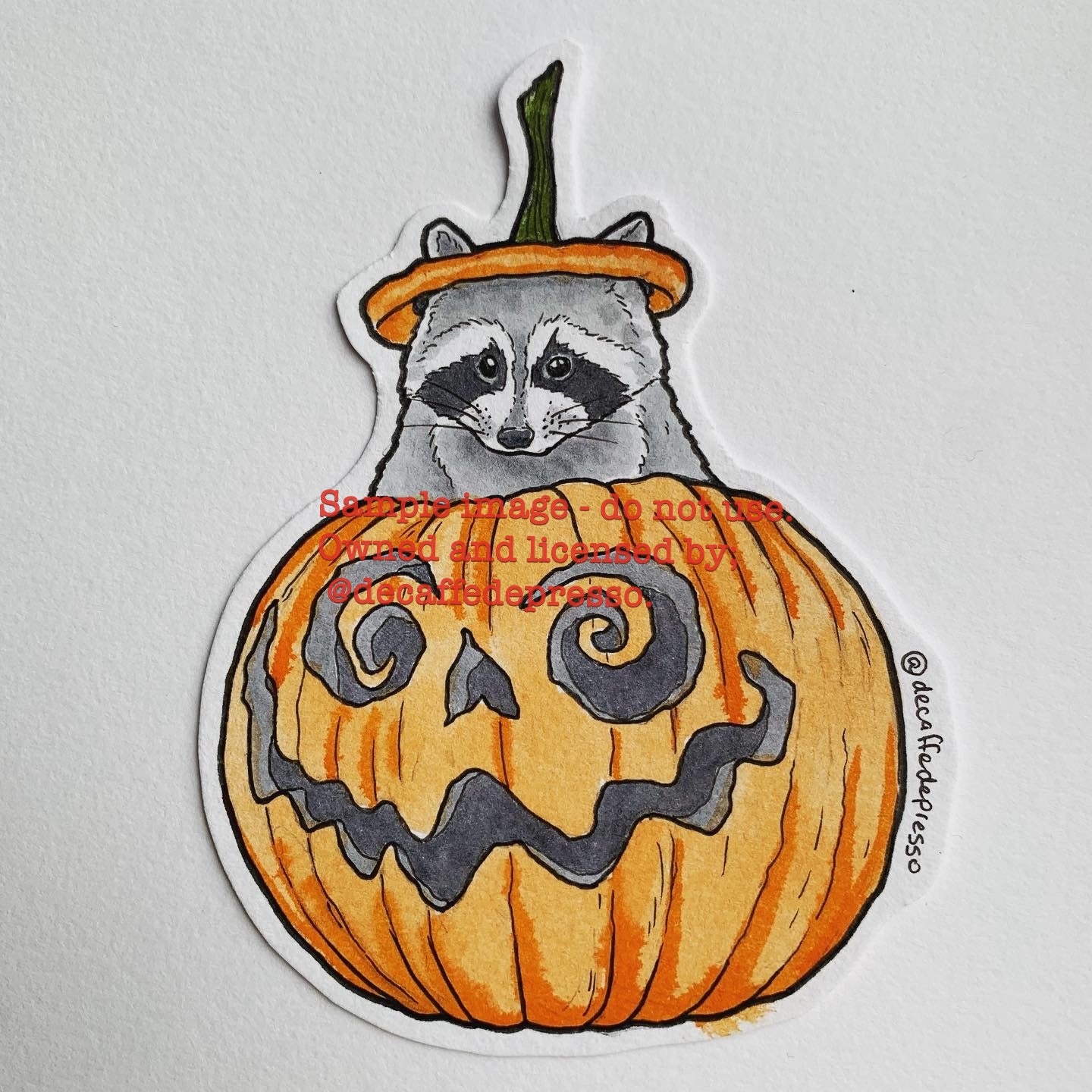 Pumpkin raccoon (Halloween)