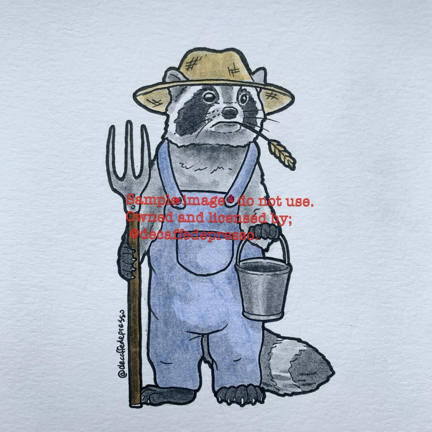 Farmer raccoon