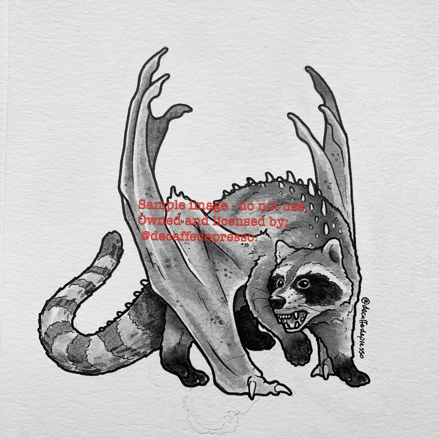 Draccoon