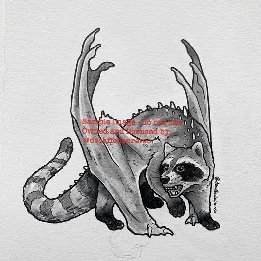 Draccoon