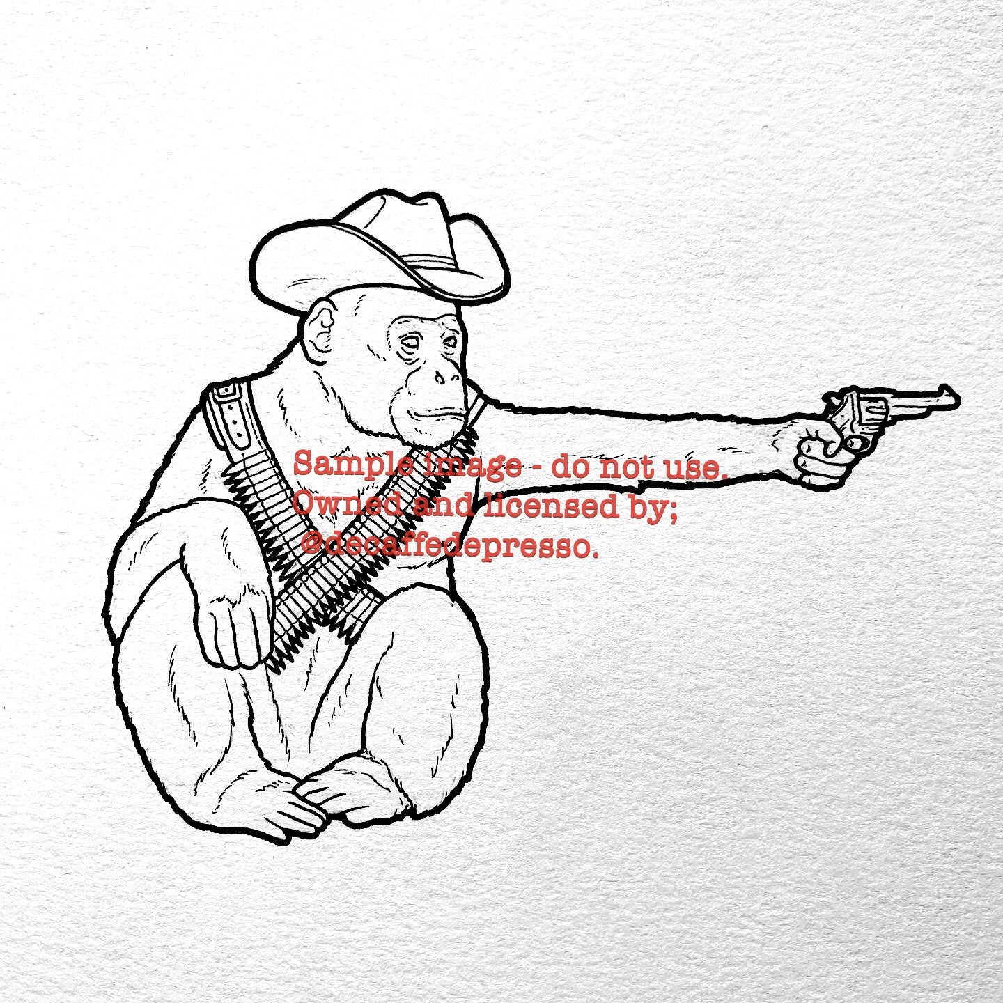 Cowboy chimp 1