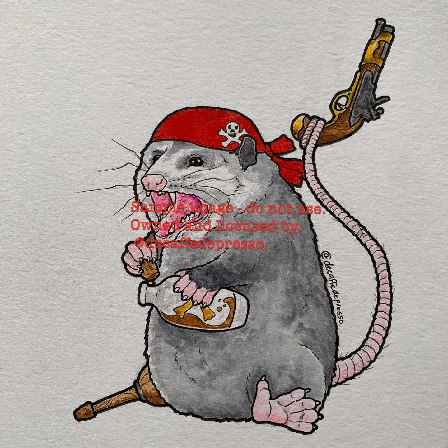 Pirate opossum