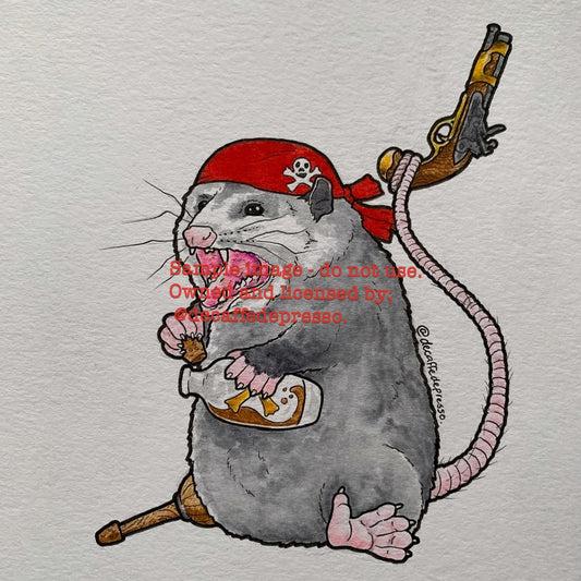 Pirate opossum