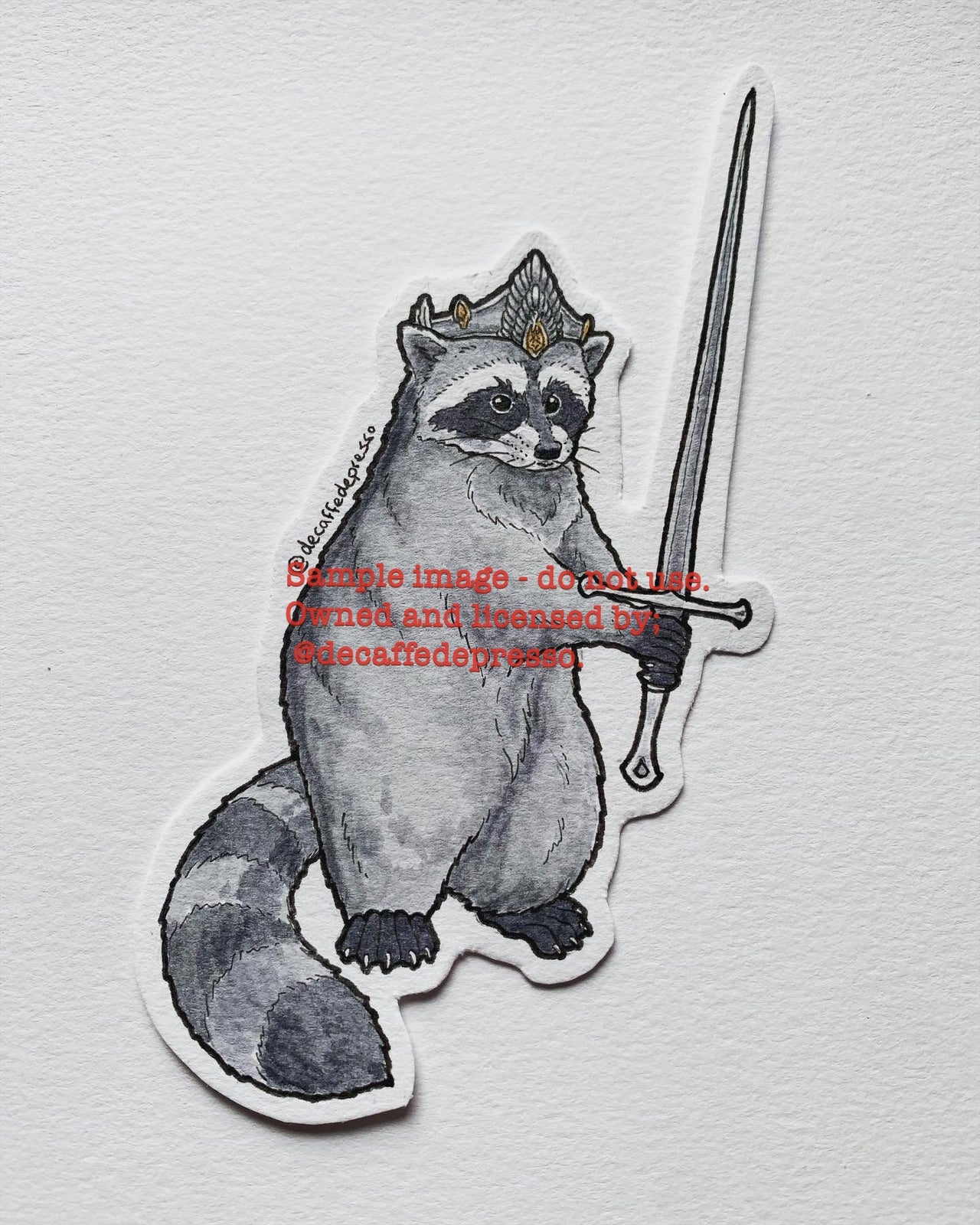 Aragorn raccoon (LOTR)