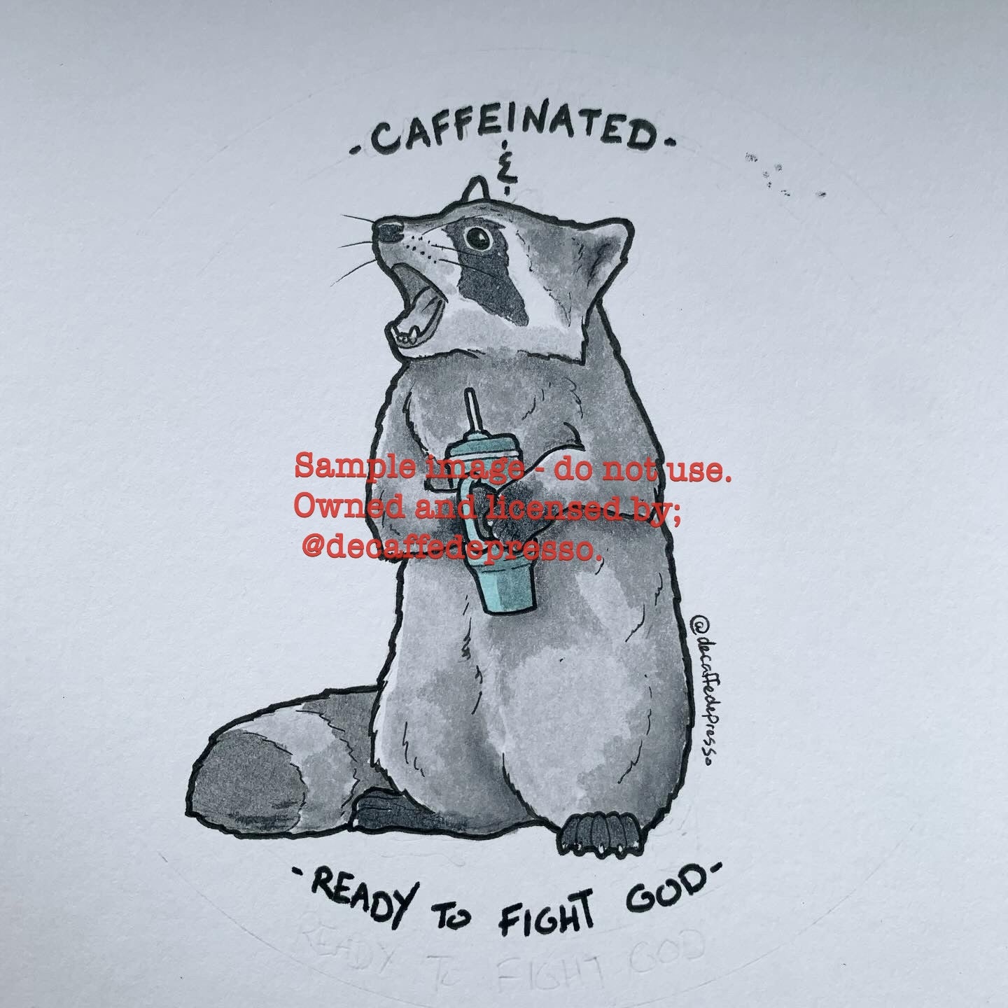 Coffee raccoon