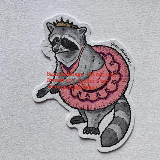 Ballet raccoon