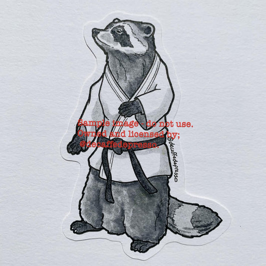 Martial arts raccoon